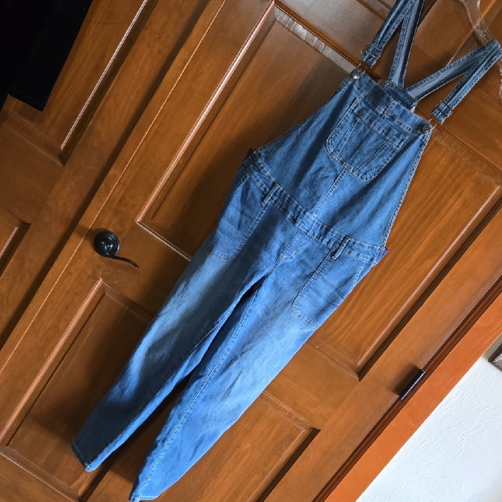 Planet Motherhood overalls